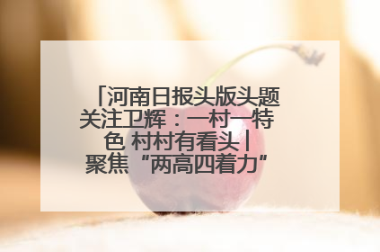 河南日报头版头题关注卫辉：一村一特色 村村有看头 ︳聚焦“两高四着力”·一“县”观察